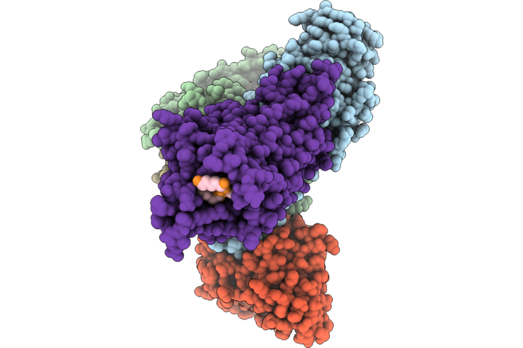 9VAX image