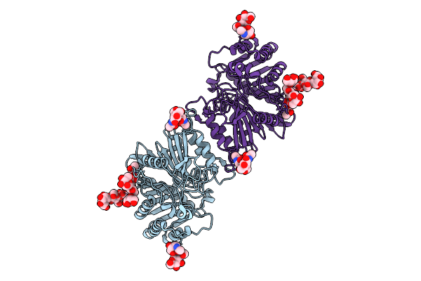 9VBG image