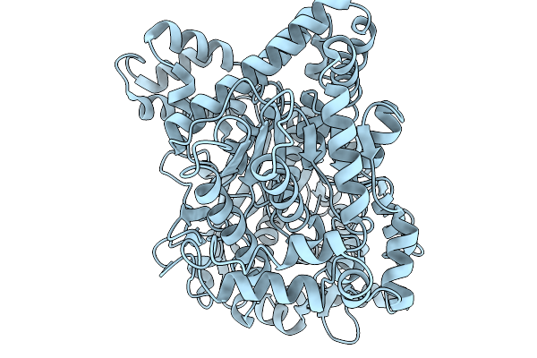 9VBL image