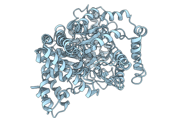 9VBM image