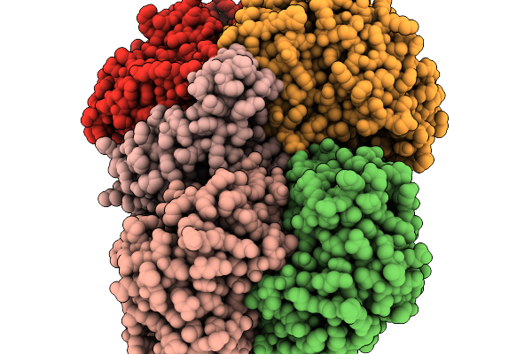 9VBO image