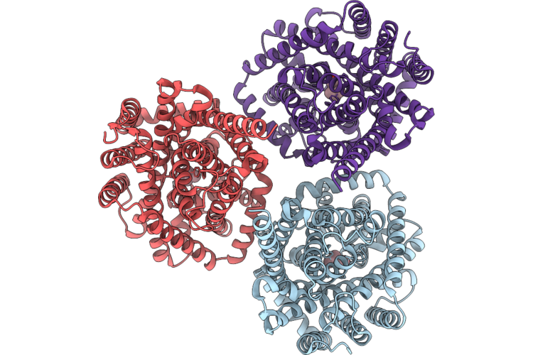 9VBP image