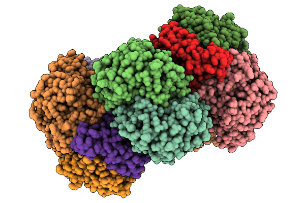 9VBT image