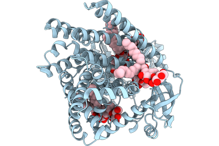 9VC6 image