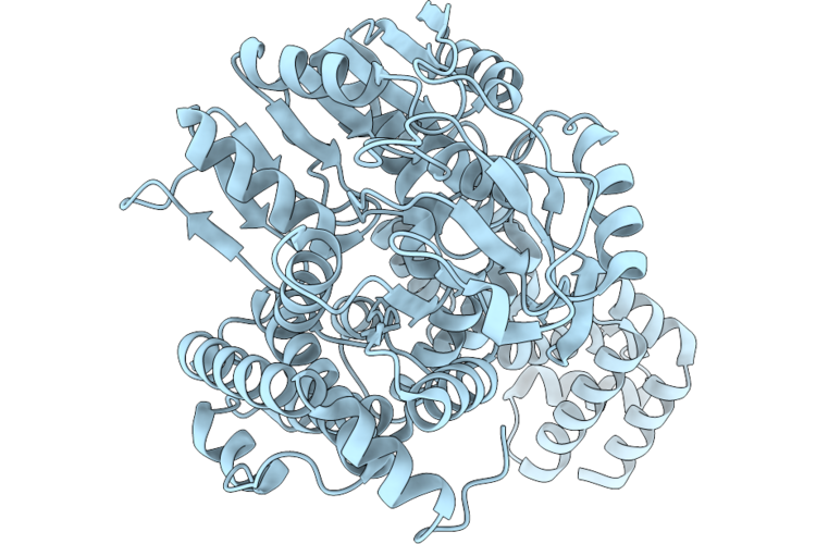9VC8 image