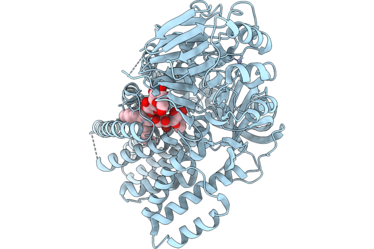 9VC9 image