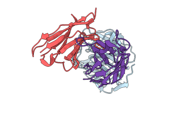 9VCA image