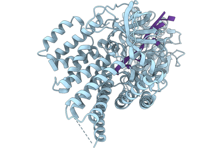 9VCB image