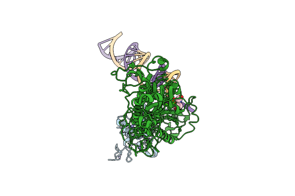 9VCK image