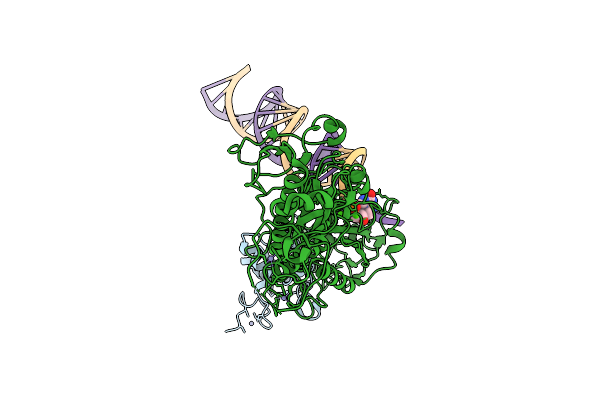 9VCL image