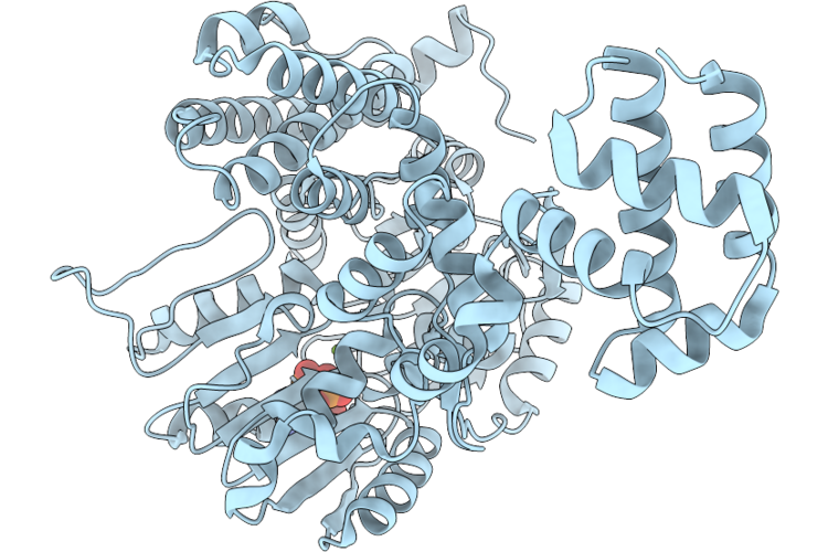 9VCT image