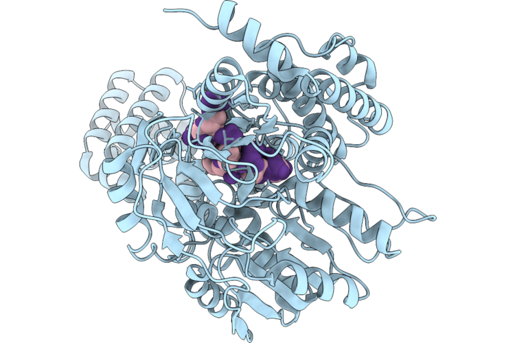 9VCV image