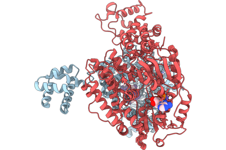 9VD1 image