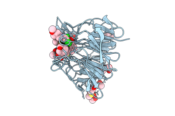 9VD2 image