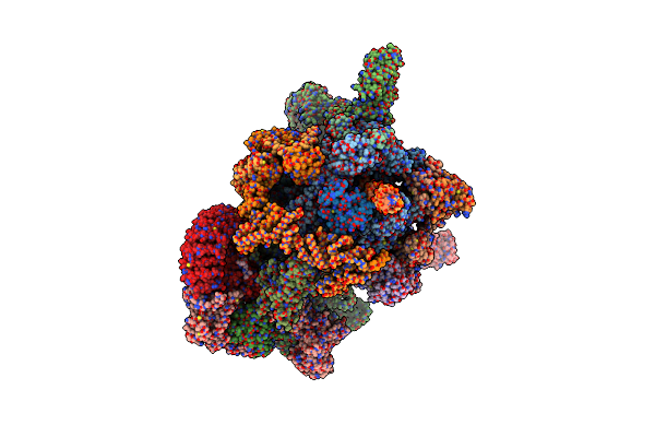 9VD9 image