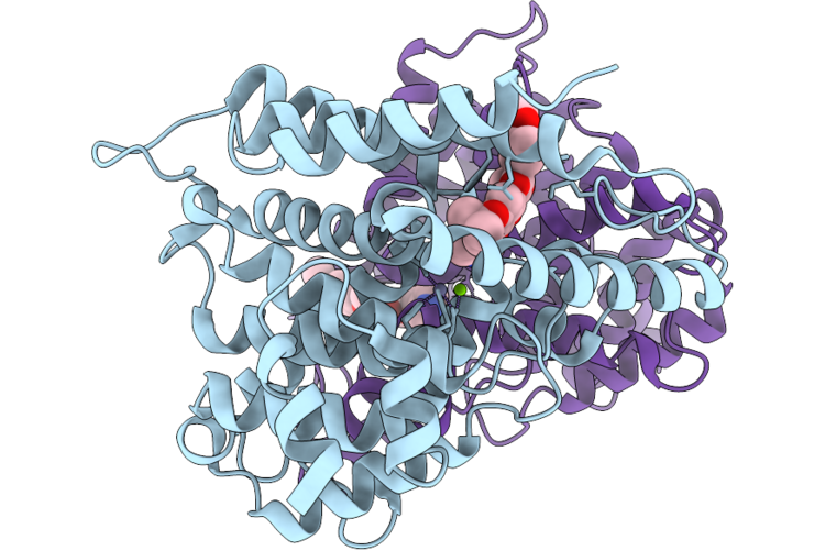 9VDD image