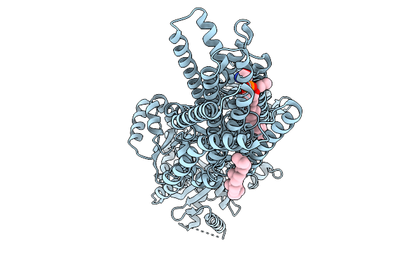 9VDM image