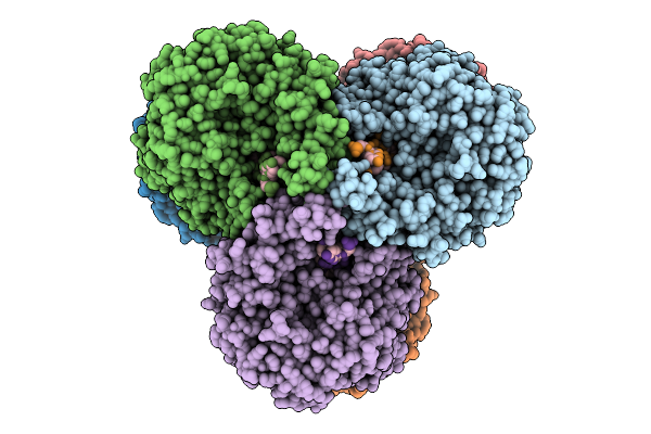 9VDP image