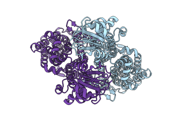 9VEB image