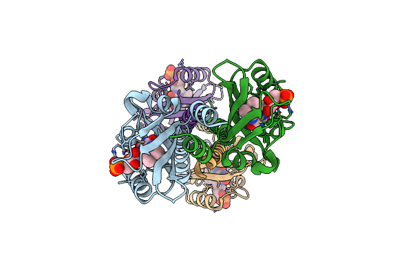 9VF7 image