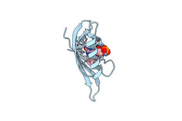 9VF8 image