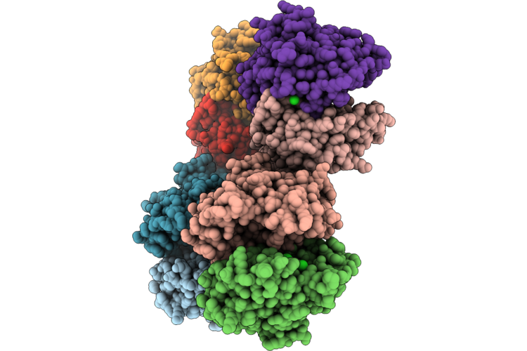 9VF9 image