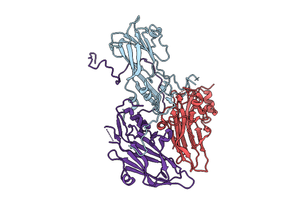 9VFP image