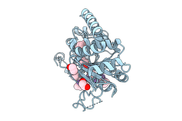 9VG3 image