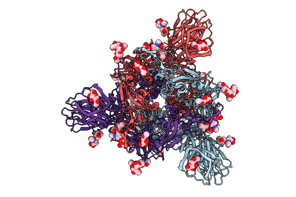 9VG7 image