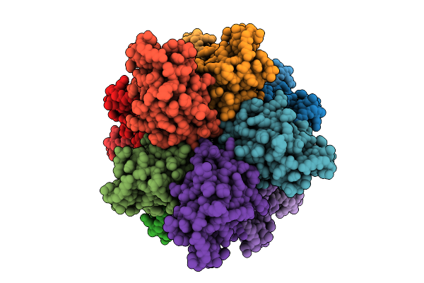 9VGD image