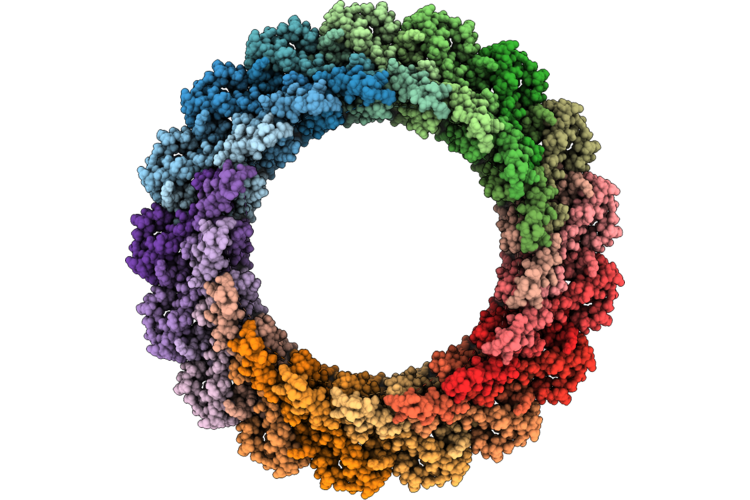 9VGF image