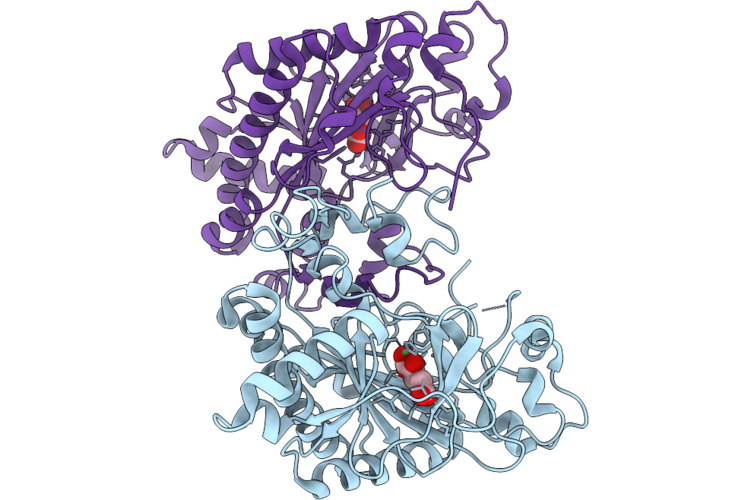 9VGI image