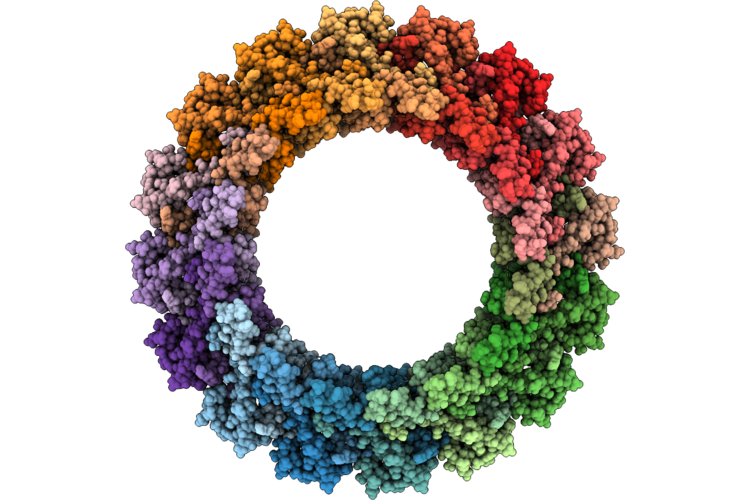 9VGU image