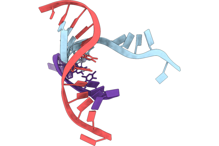 9VGX image