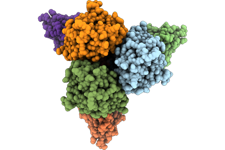 9VH4 image