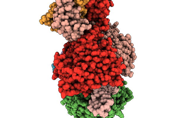 9VHL image