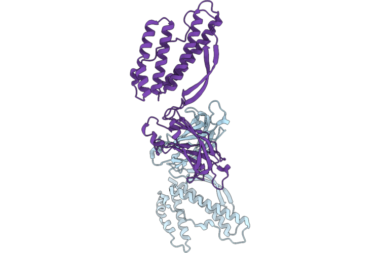 9VHM image
