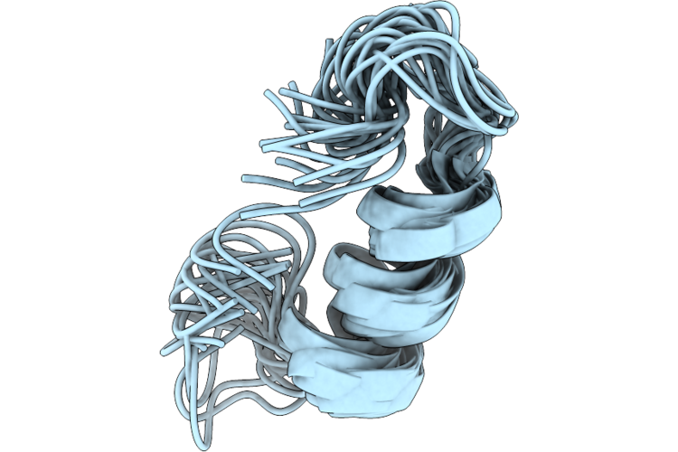 9VHO image