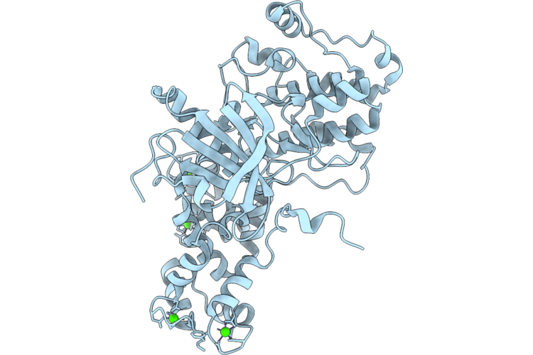 9VHW image