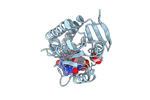 9VIS image