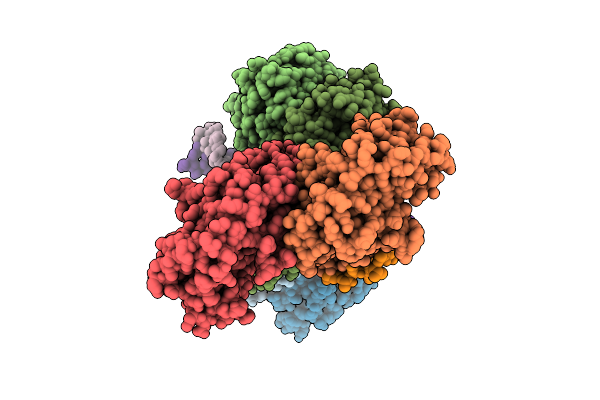 9VJB image