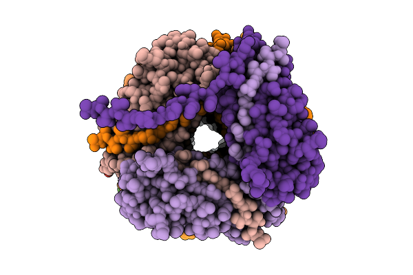 9VKV image