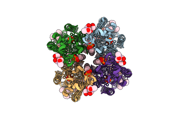 9VL3 image