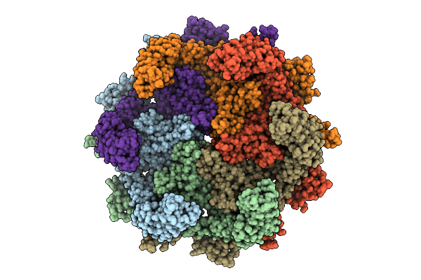 9VL4 image