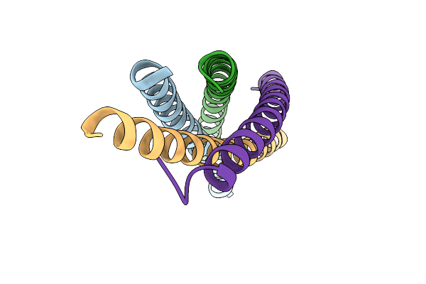 9VLI image