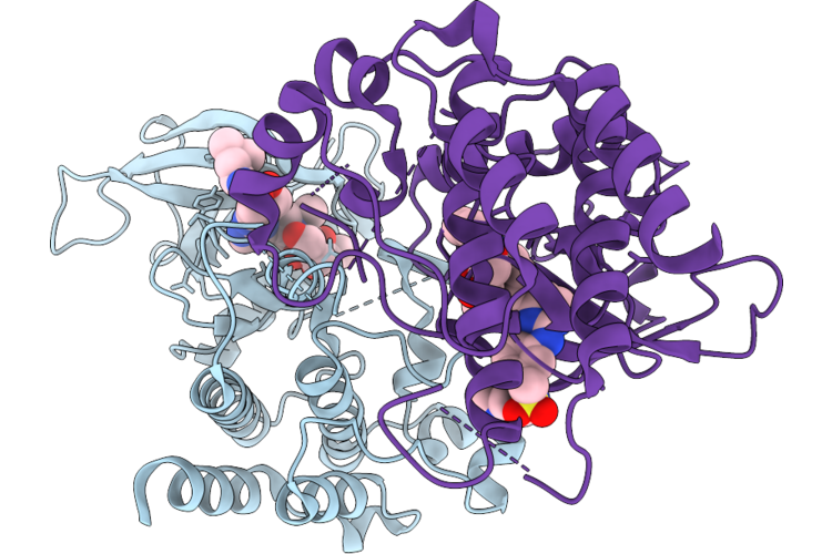9VLM image