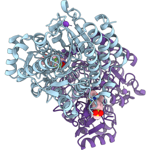 9VLP image