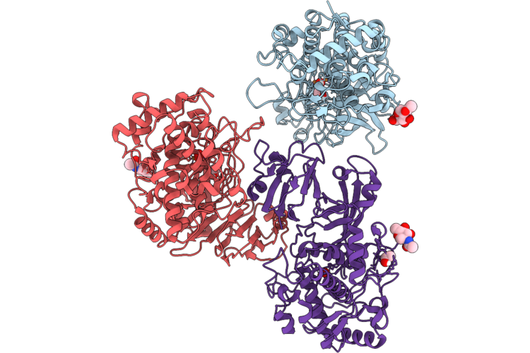 9VLU image