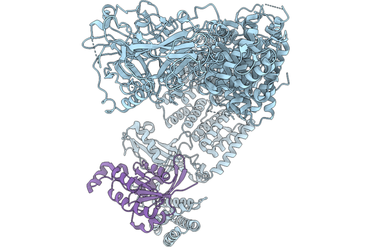 9VM4 image
