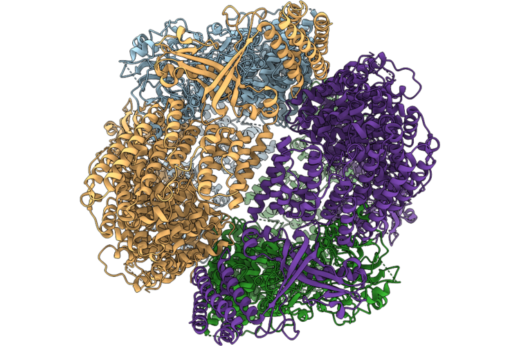 9VM6 image